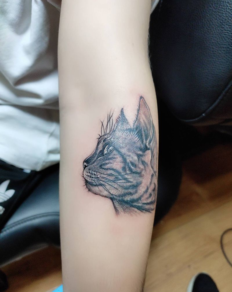 猫纹身图片_手臂纹身图案