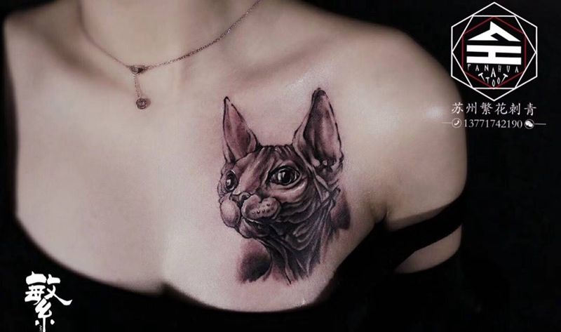 斯芬克斯遮盖纹身图片_手稿成品胸部欧美写实动物原创旧遮盖遮盖纹身图案
