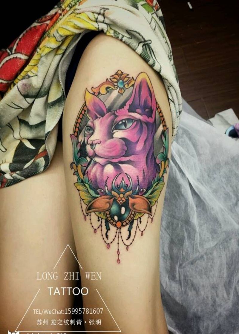 斯芬克斯猫纹身图片