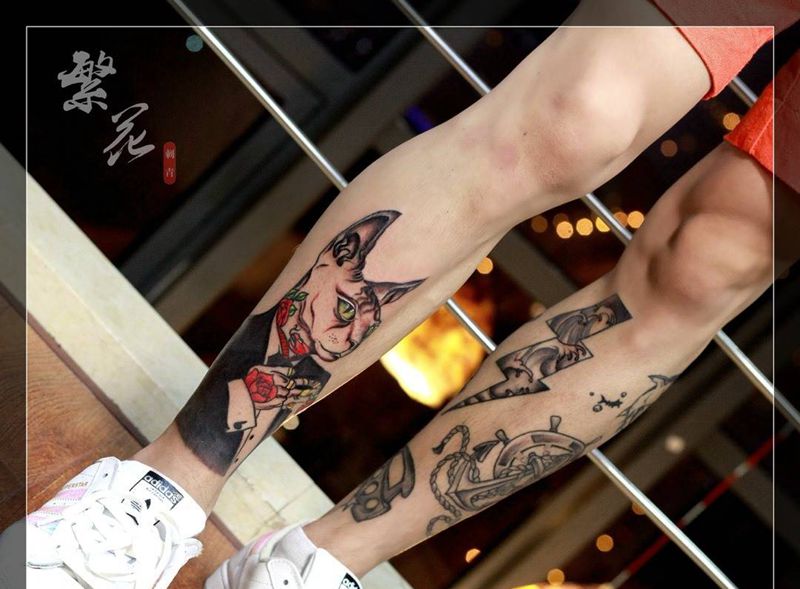 小清新 无毛猫月亮钻石鱼