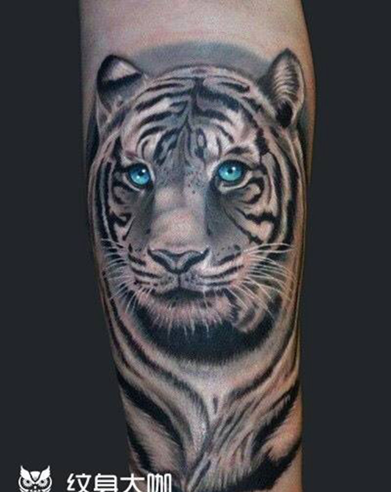 虎纹身图片