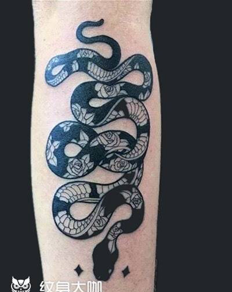 蛇纹身图片