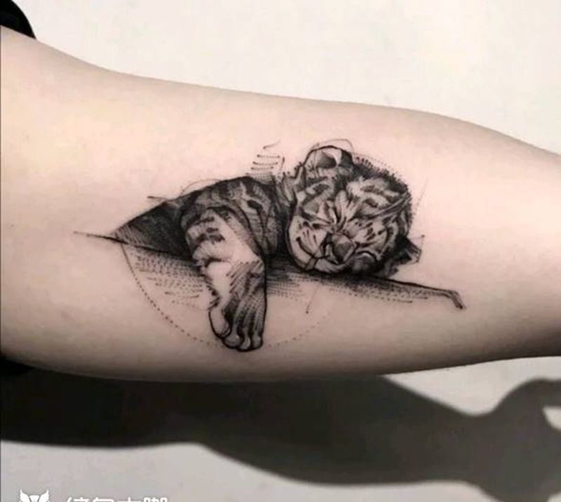 小脑虎纹身图片_手臂腿部点刺几何纹身图案