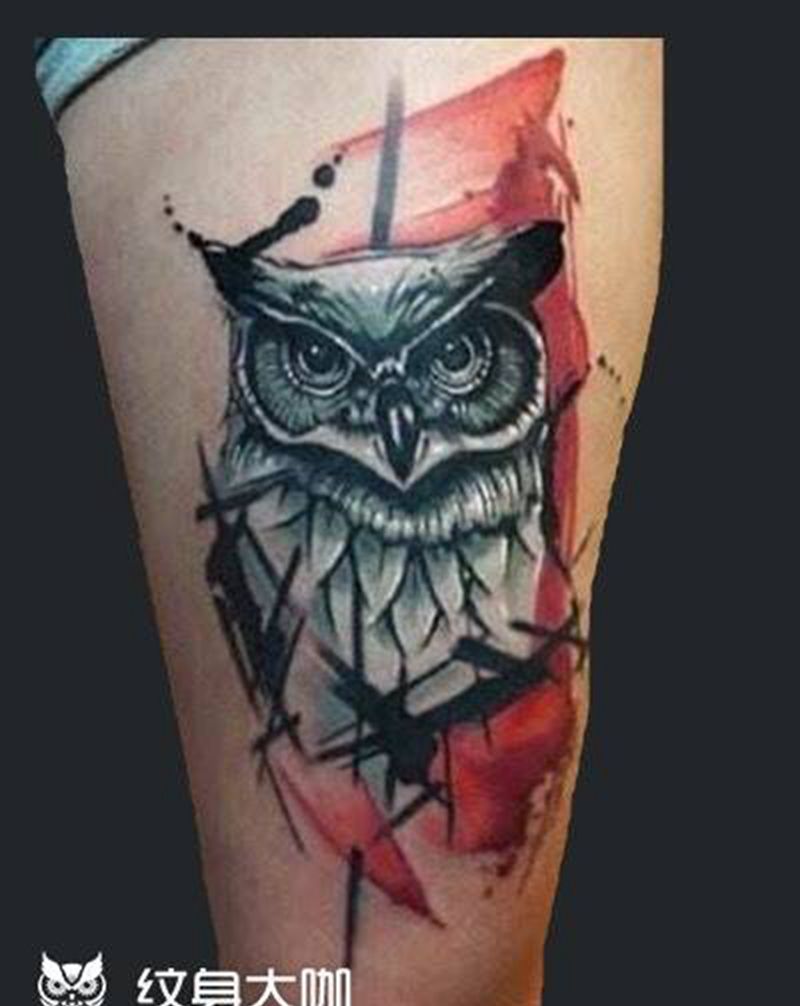 猫头鹰纹身图片