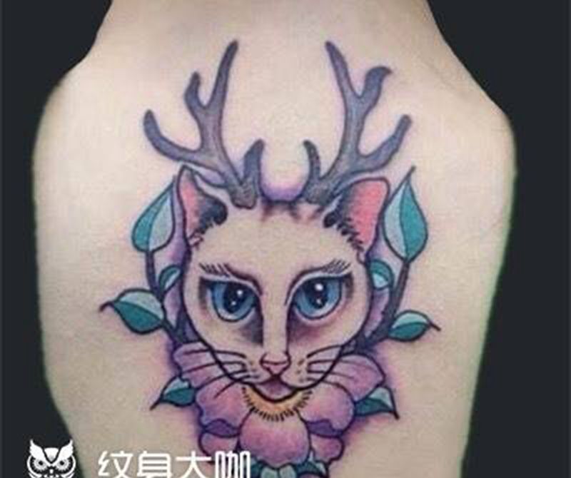 猫纹身图片