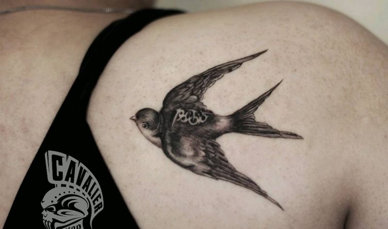 小燕纸纹身图片_肩部清新写实字符动物成品纹身图案