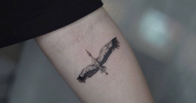 仙鹤纹身图片_手臂水墨水彩纹身图案