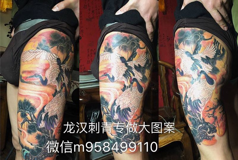 仙鹤纹身图片