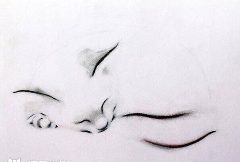 猫咪手稿纹身图片