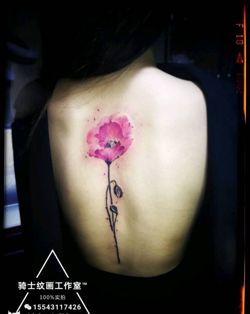 后背  花纹身图片_背部欧美清新植物静物原创成品纹身图案
