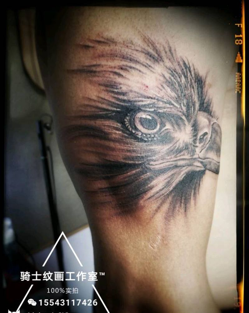 鹰眼纹身图片_手臂欧美写实动物成品纹身图案