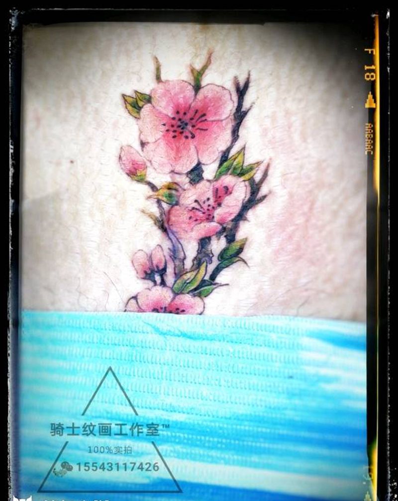 疤痕遮盖纹身图片_腹部清新植物成品纹身图案