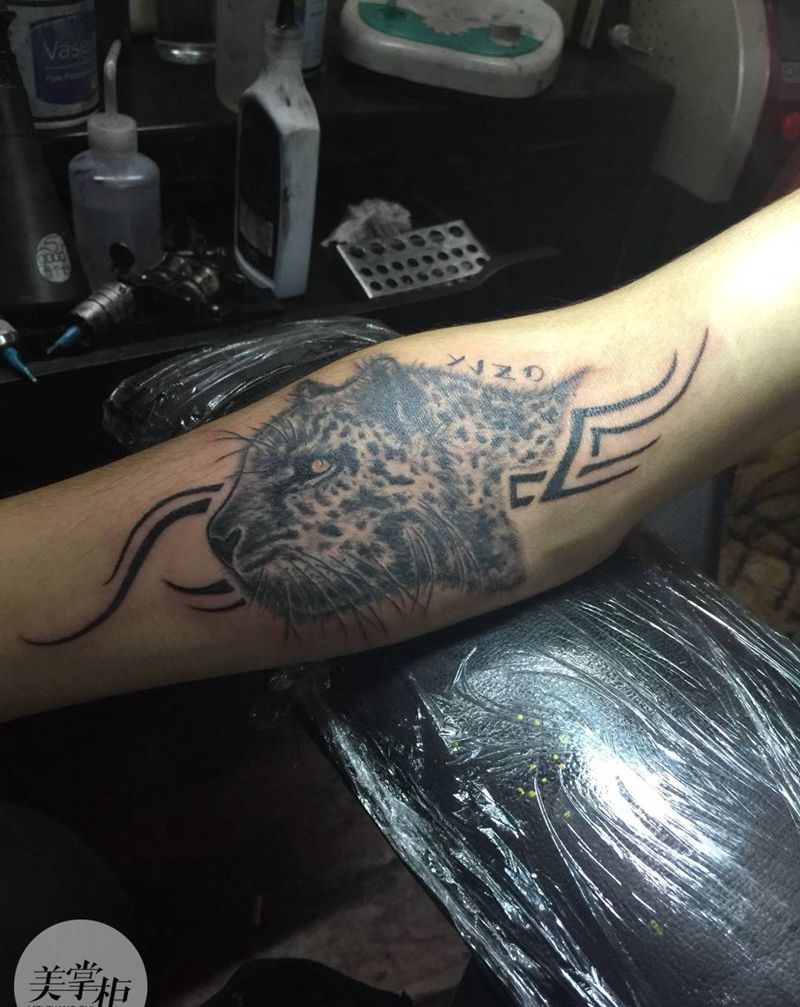 豹，手绘设计作品纹身图片