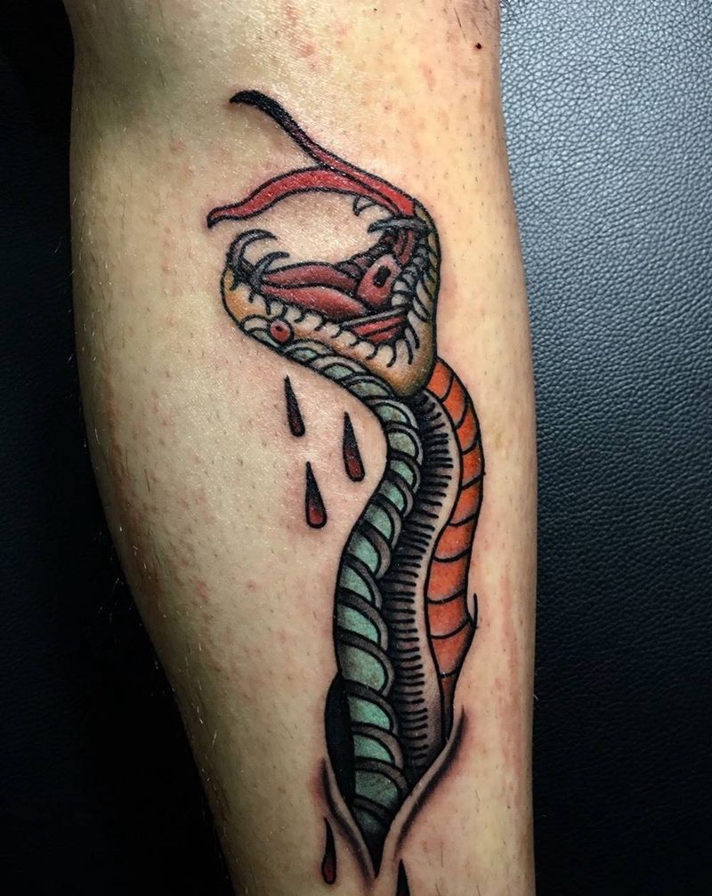 old school蛇纹身图片