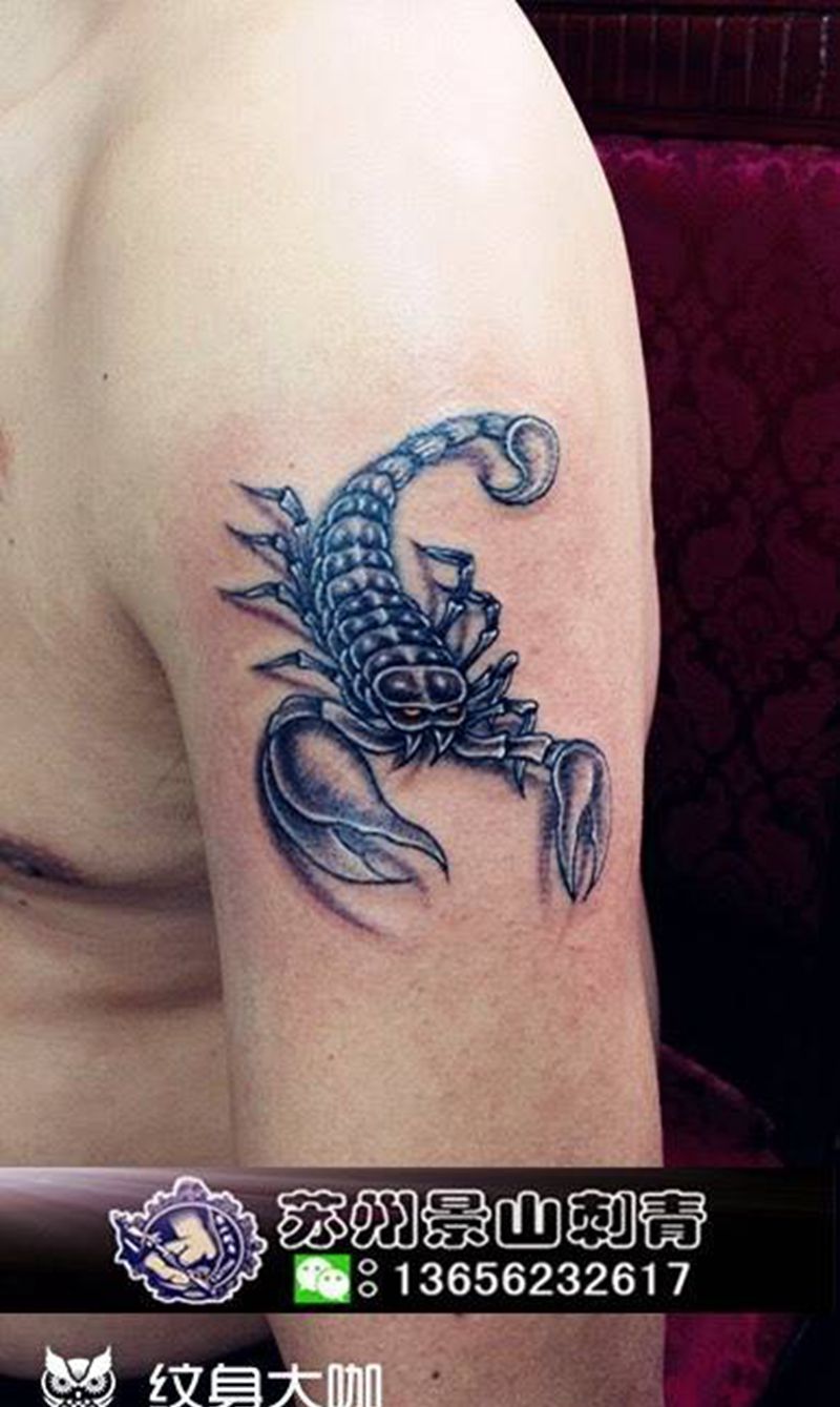 蝎子纹身图片