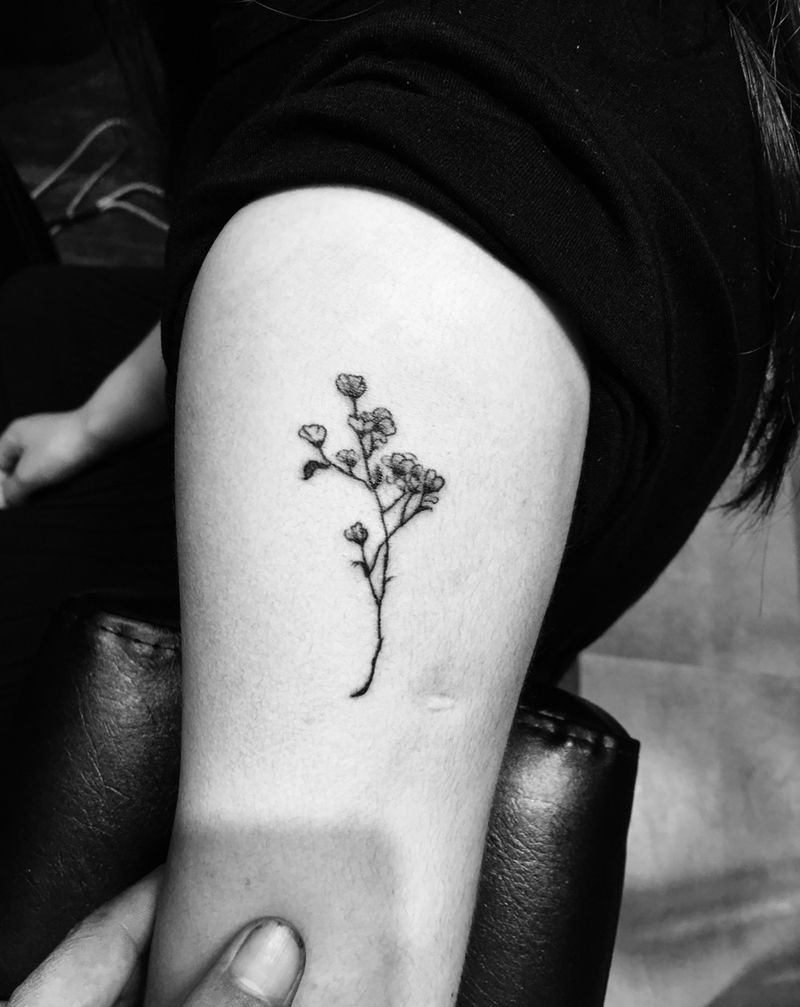 小清新纹身图片