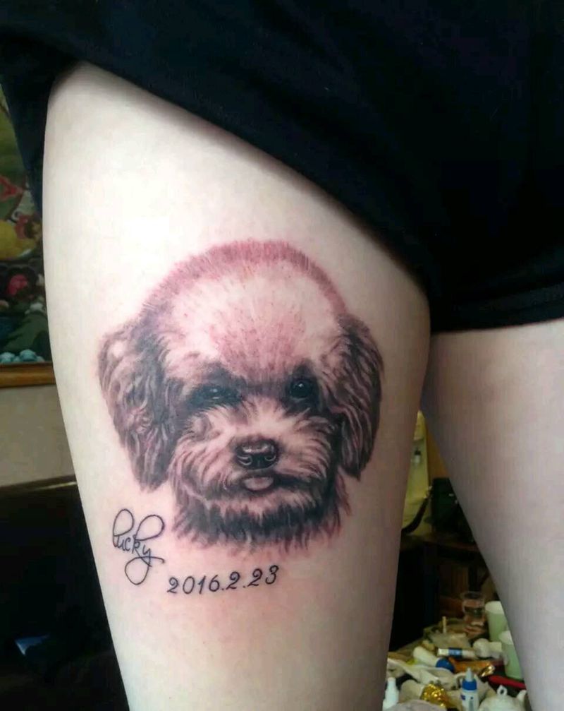 泰迪犬纹身图片_腿部写实动物成品纹身图案