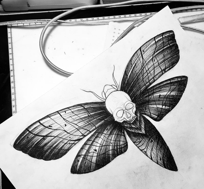 鬼面幺蛾手稿纹身图片