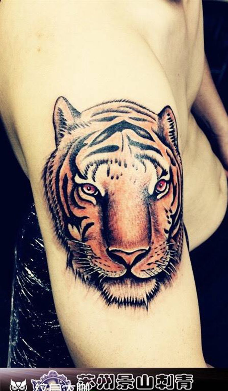 老虎头纹身图片