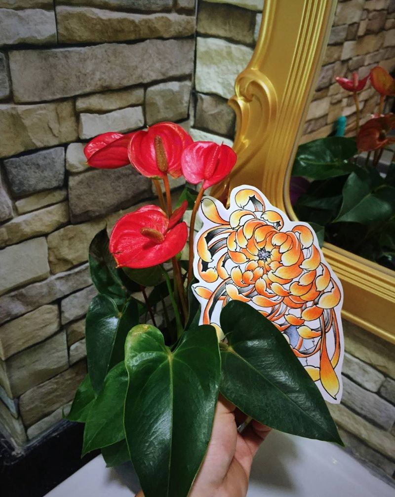 菊花稿纹身图片