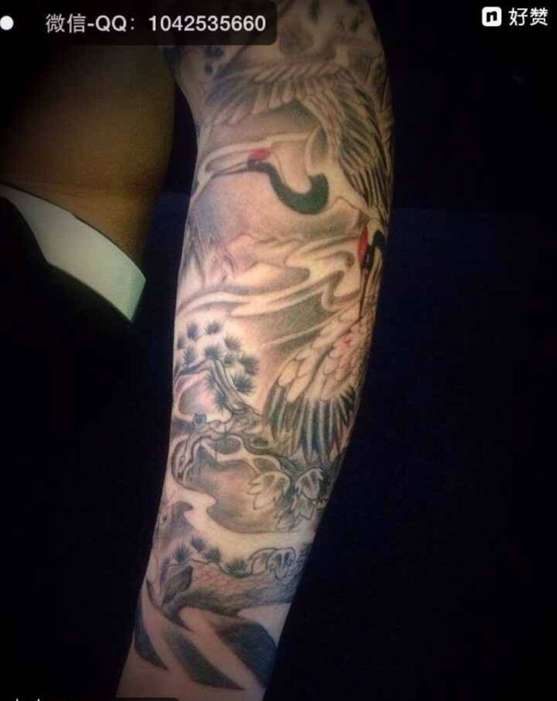 双鹤加猴子包臂纹身图片_成品手部手臂传统习俗写实动物人物植物纹身图案