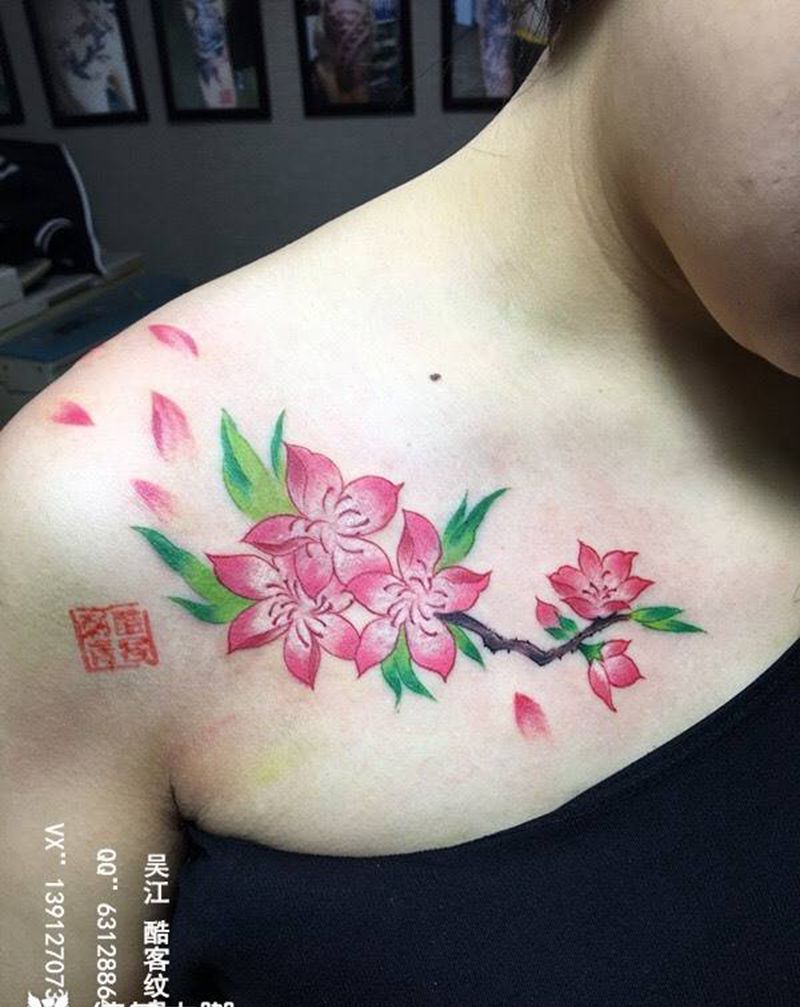 樱花纹身图片_成品胸部传统植物纹身图案