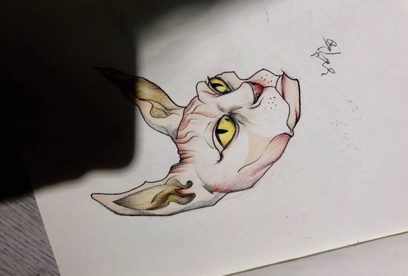 猫手稿纹身图片