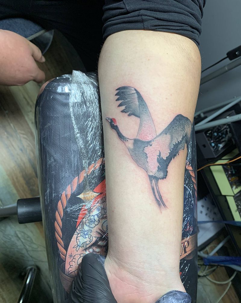 鹤纹身图片_手臂纹身图案