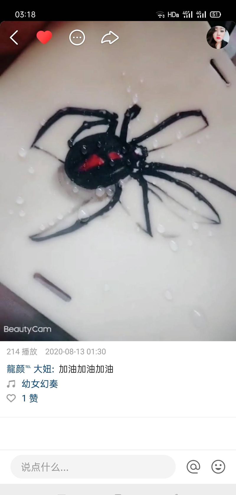 这是一只带露珠的大蜘蛛