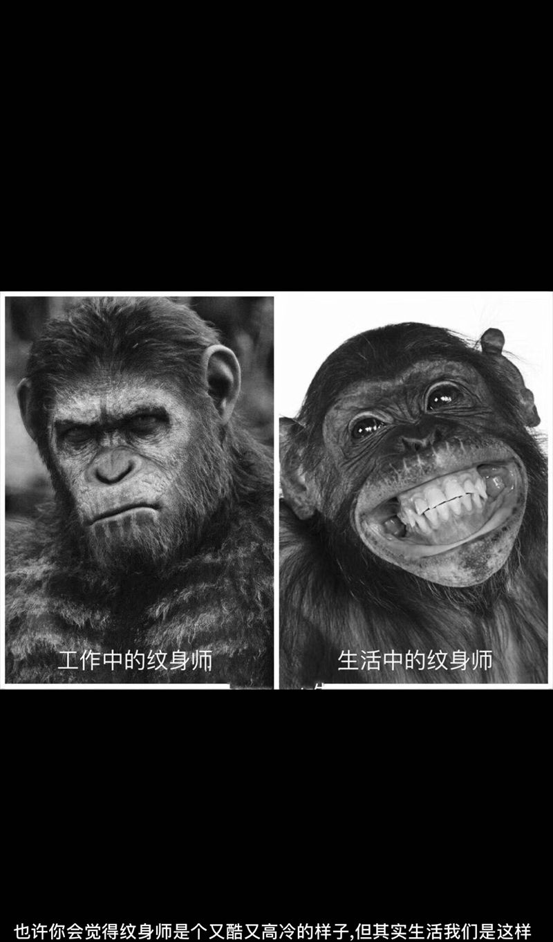 为艺术而艺术，不会比为喝酒而喝酒更有意义。纹身图片