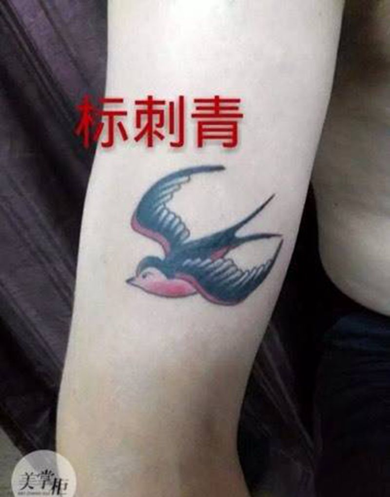 小图小燕子纹身图片_欧美传统动物胸部腹部腰部手臂腿部肩部纹身图案