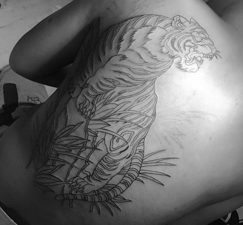 虎 上色未完纹身图片_成品背部传统动物纹身图案