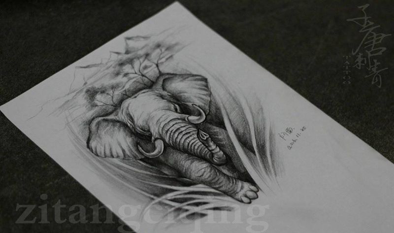 大象手稿定纹身图片_手稿欧美写实动物植物原创静物背部肩部手臂纹身图案