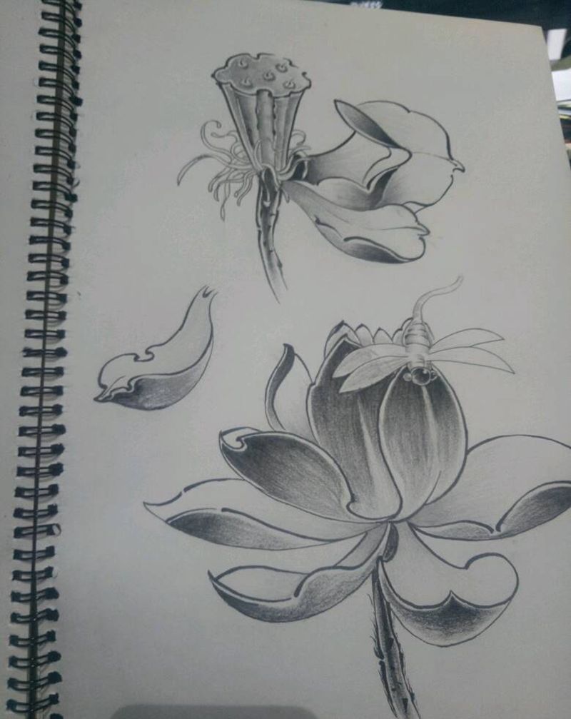 手绘荷花纹身图片