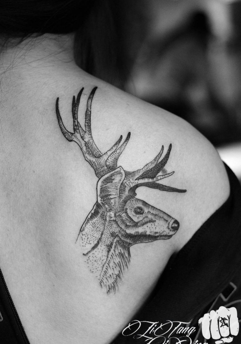 客人自己带来的手稿纹身图片_成品背部肩部欧美写实动物静物纹身图案