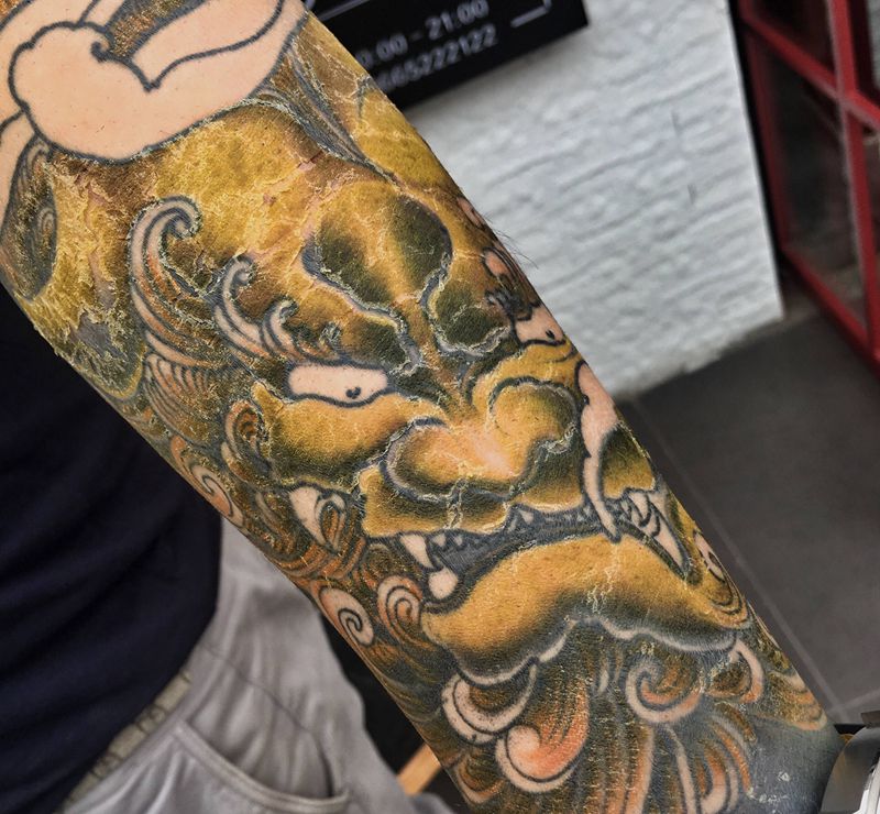 唐狮花臂未完纹身图片_手臂新传统纹身图案