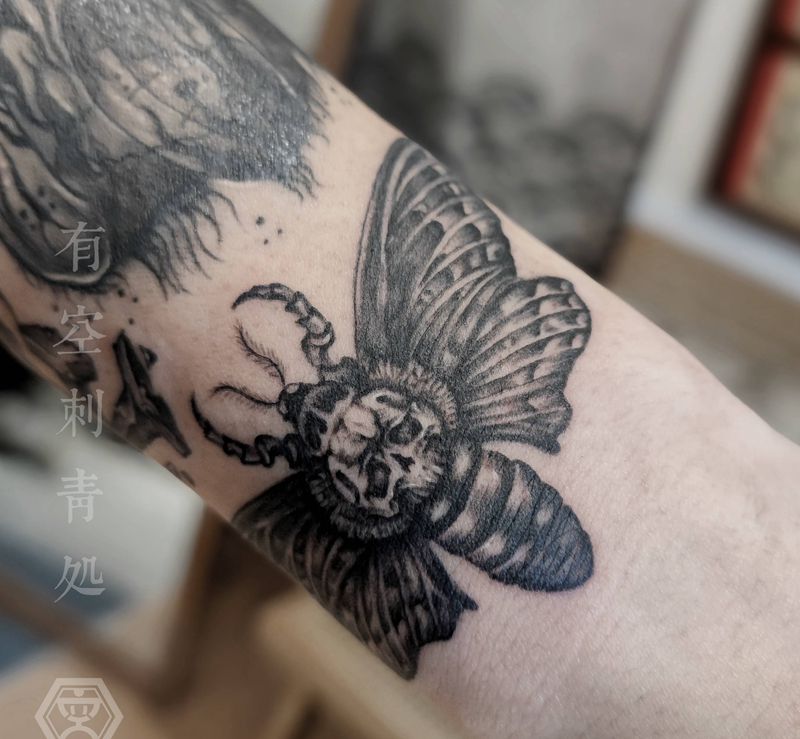 鬼面天蛾纹身图片_手臂欧美写实纹身图案