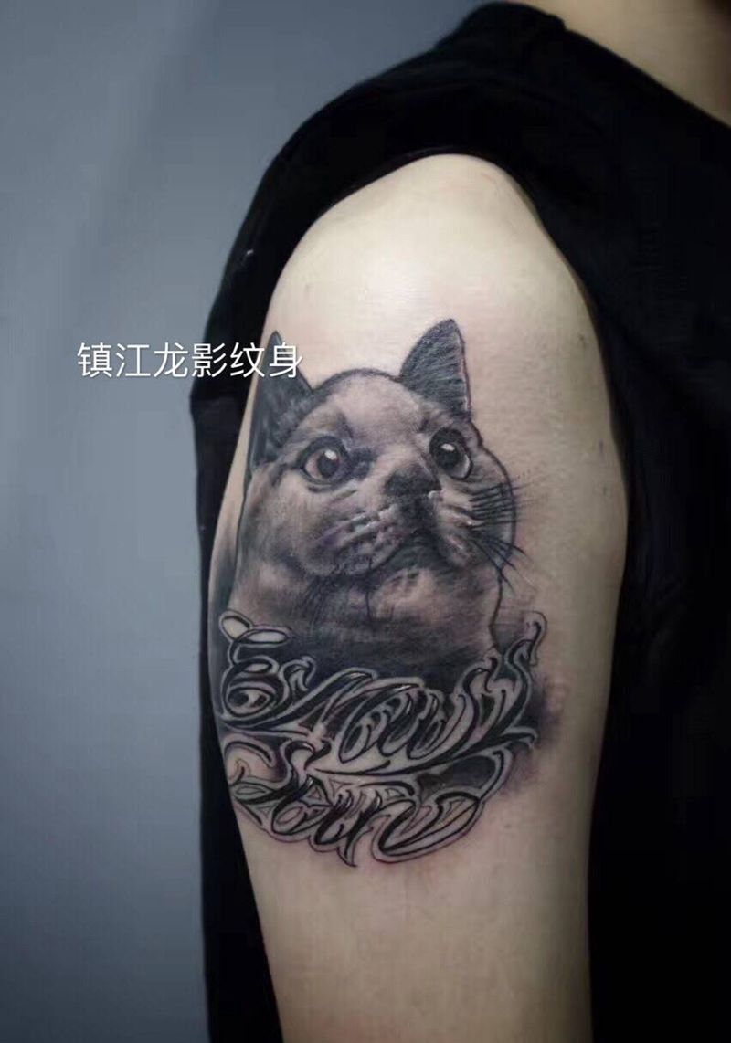 猫咪纹身纹身图片