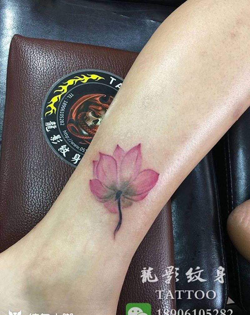 荷花纹身图片