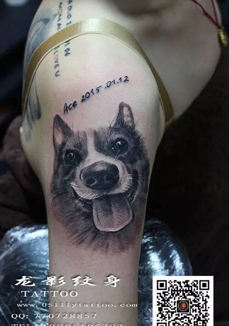 小柯基纹身图片