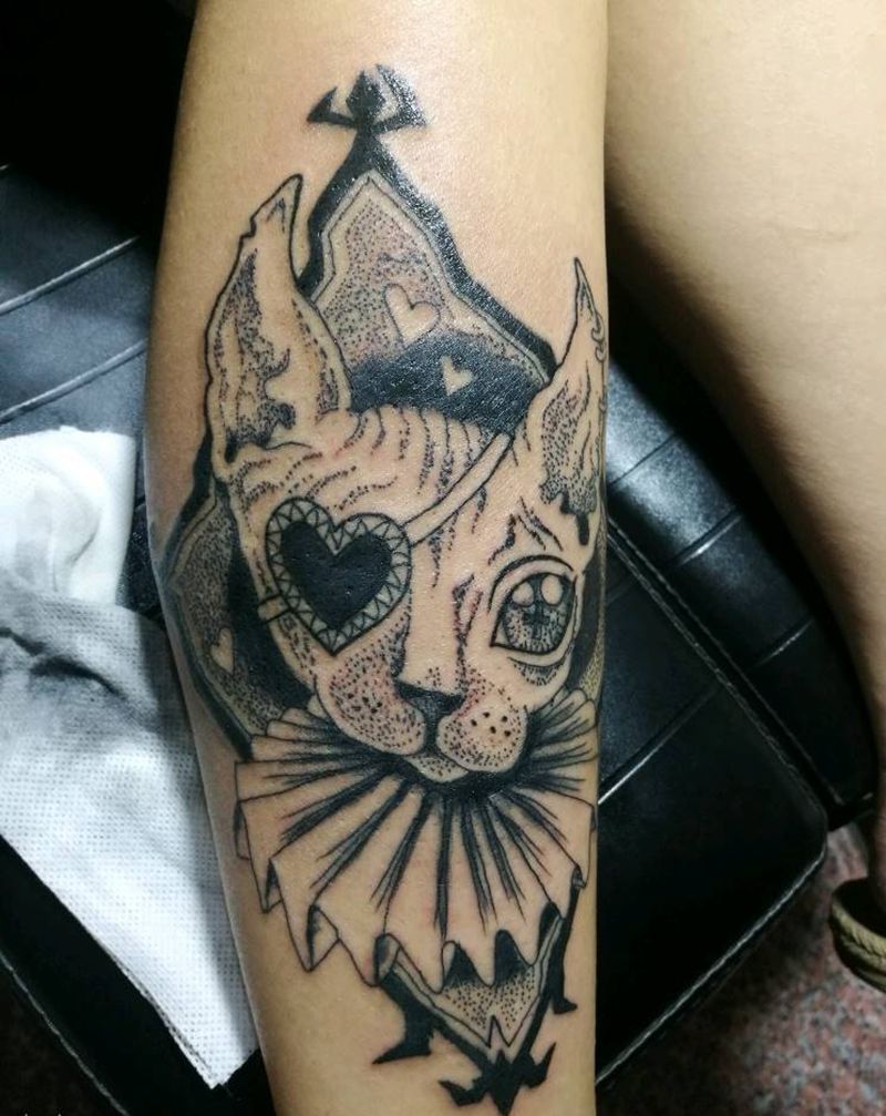 无毛猫纹身图片