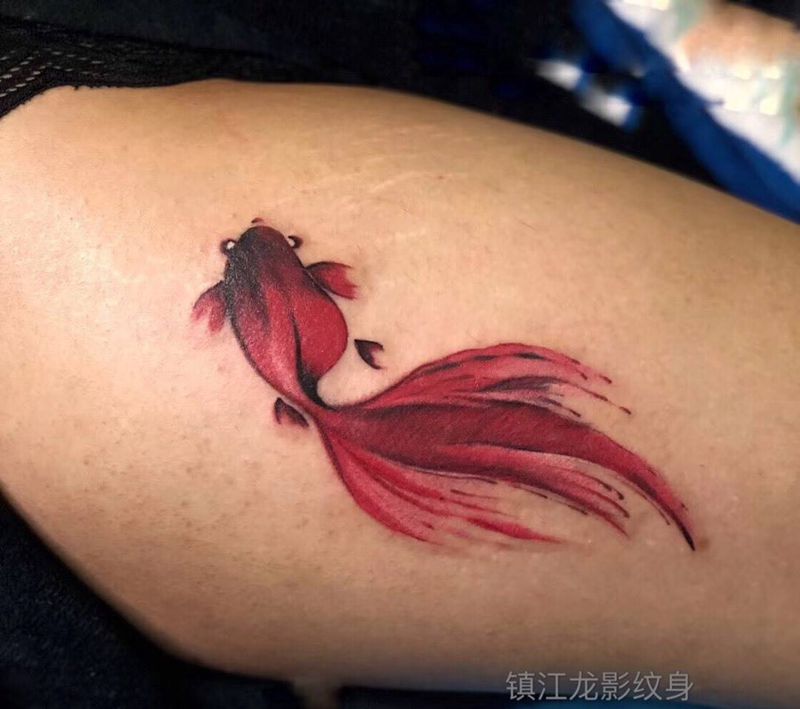 加个班，小美女的小金鱼[偷笑][偷笑]纹身图片