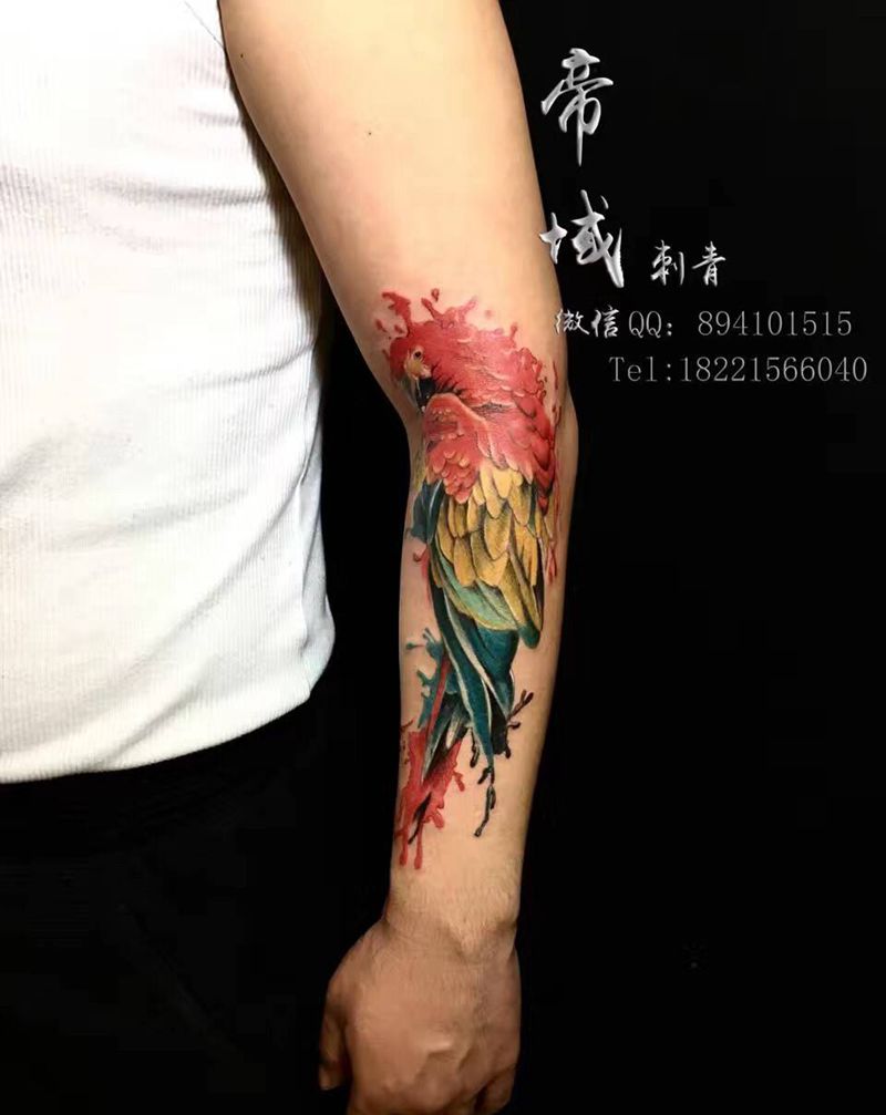 鹦鹉纹身图片_手臂手部水彩纹身图案