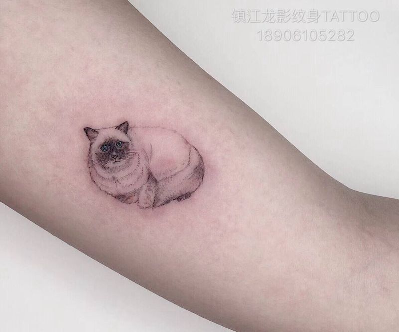 小猫纹身图片_手部纹身图案