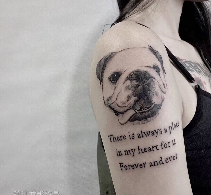 宠物纹身图片