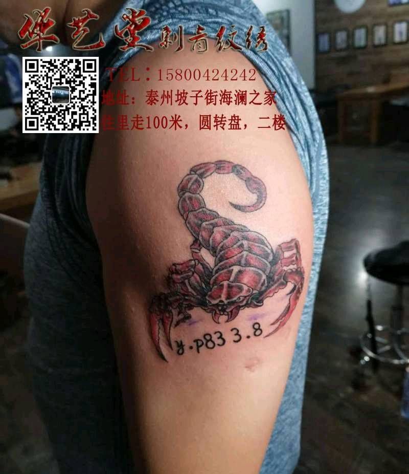 蝎子纹身图片