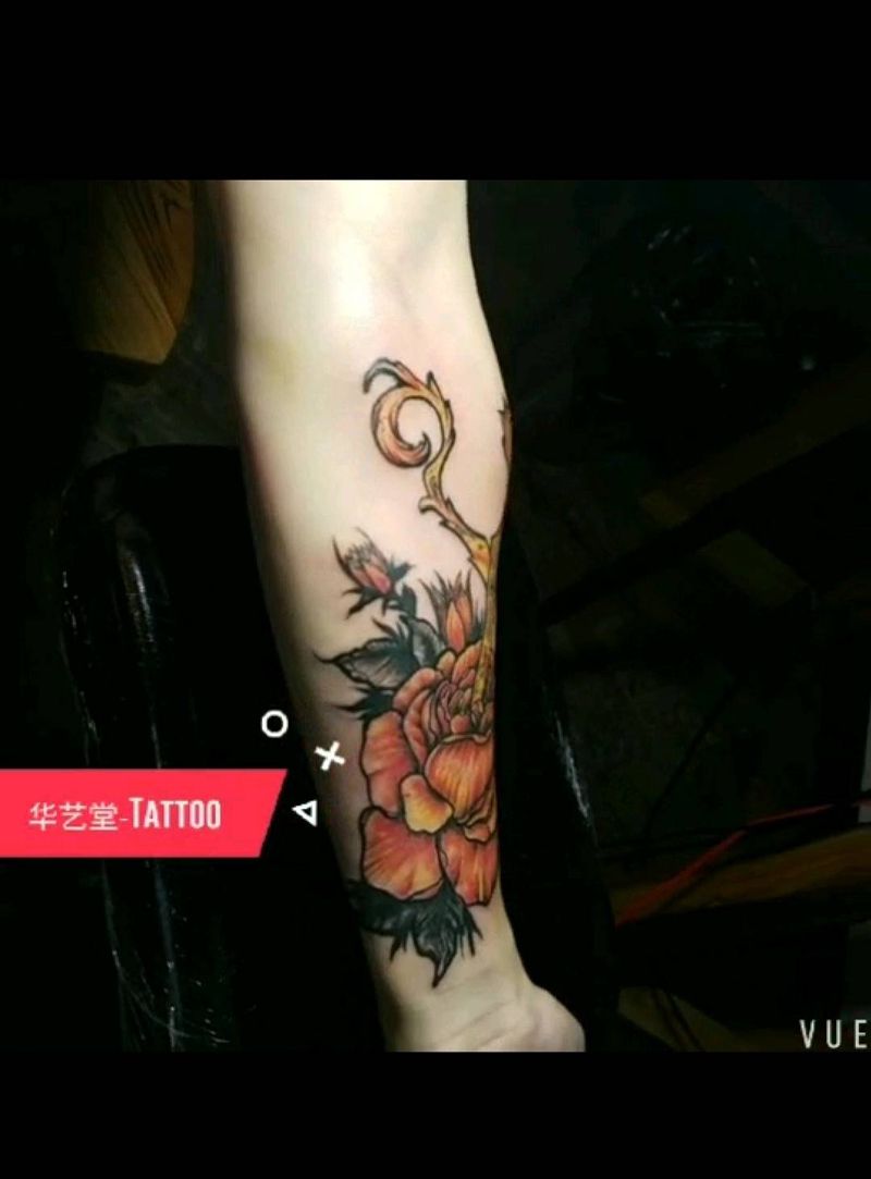 小彩,胳膊图分解纹身图片