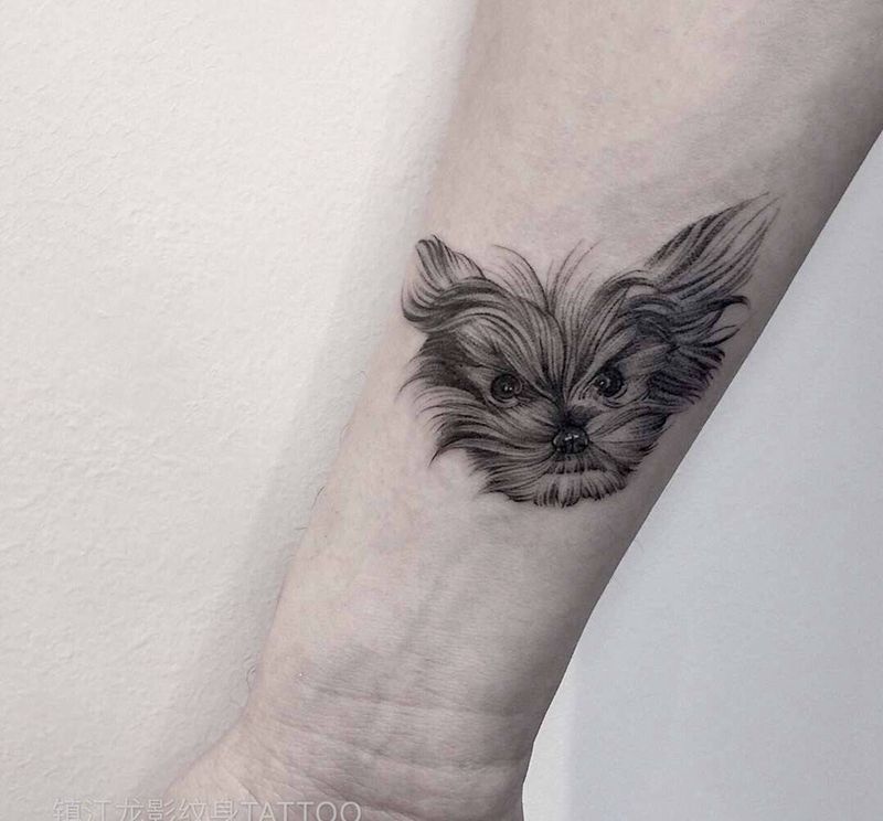 约克夏纹身图片