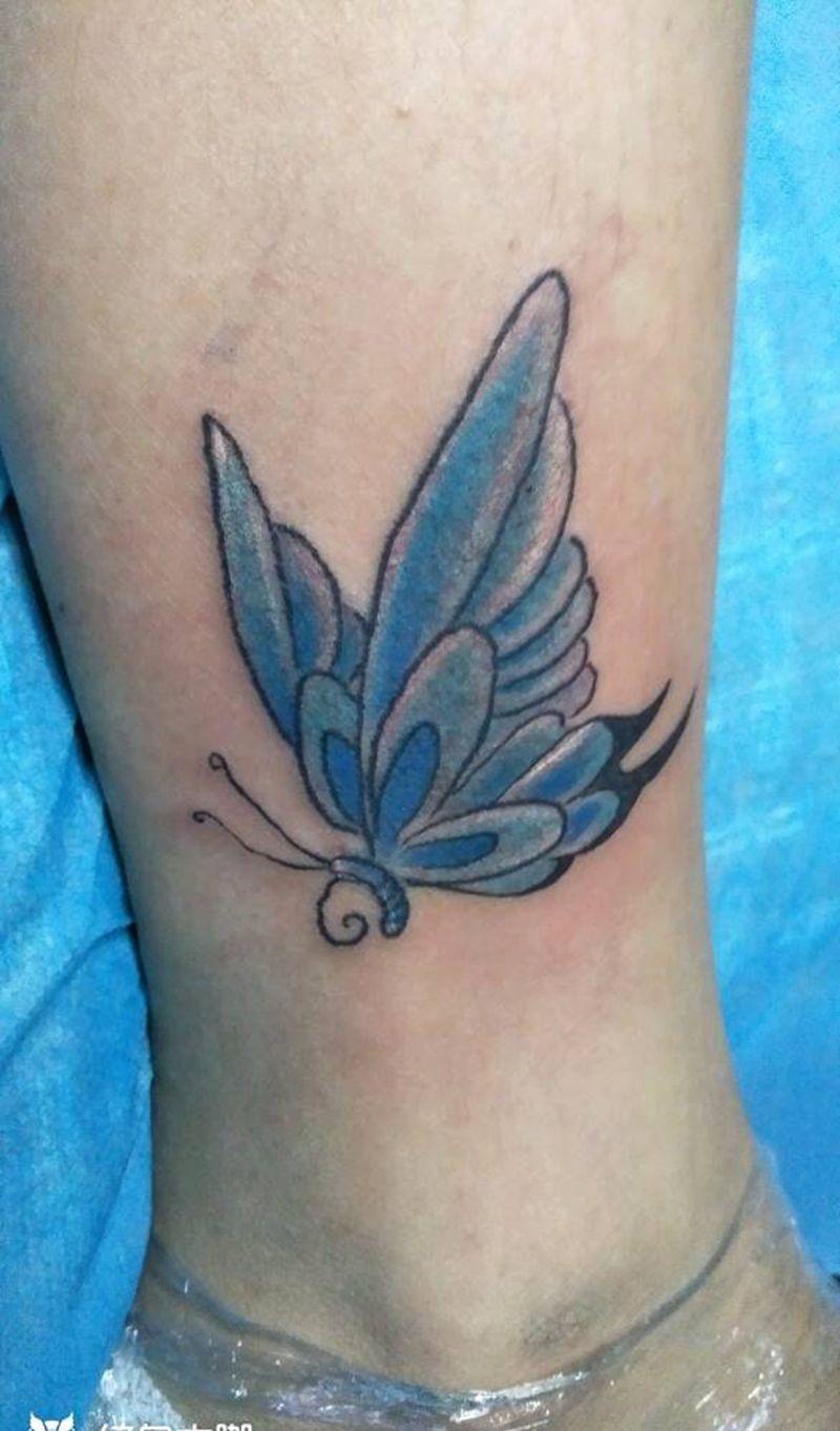 蓝蝴蝶纹身图片