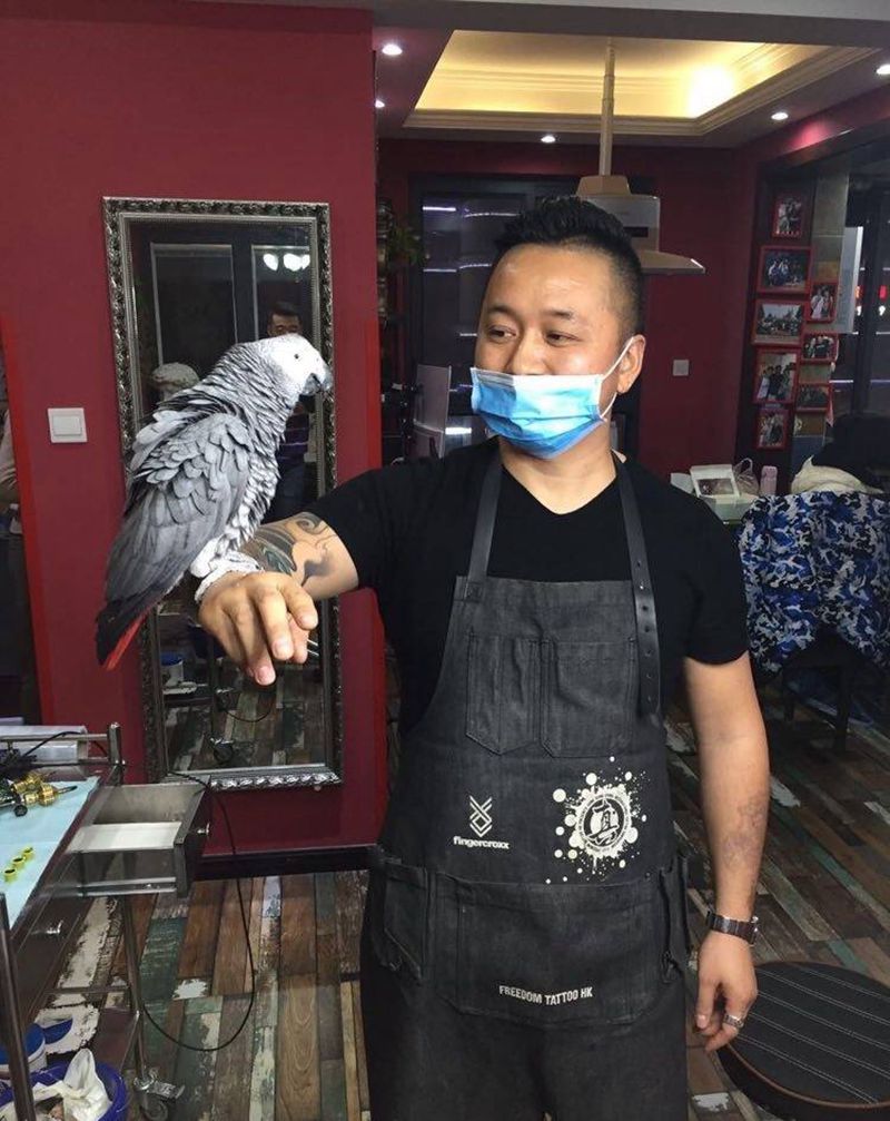 龙影新成员-辉腾[偷笑][偷笑]纹身图片